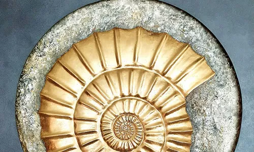 Lichtobjekt Ammonit 100