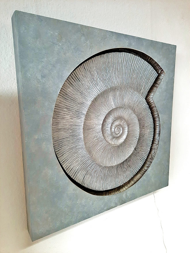 Nautilus Silber 80x80x7cm